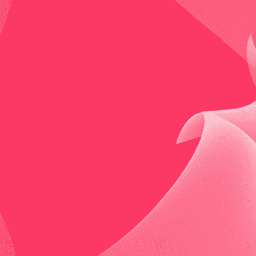 From Windmills to Wine Lists: Exploring the Netherlands' Culinary Delights