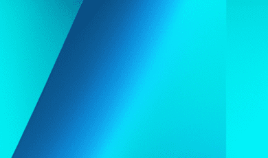 Планируете открыть кафе в Нидерландах? Узнайте, зачем нужна аренда юридического адреса